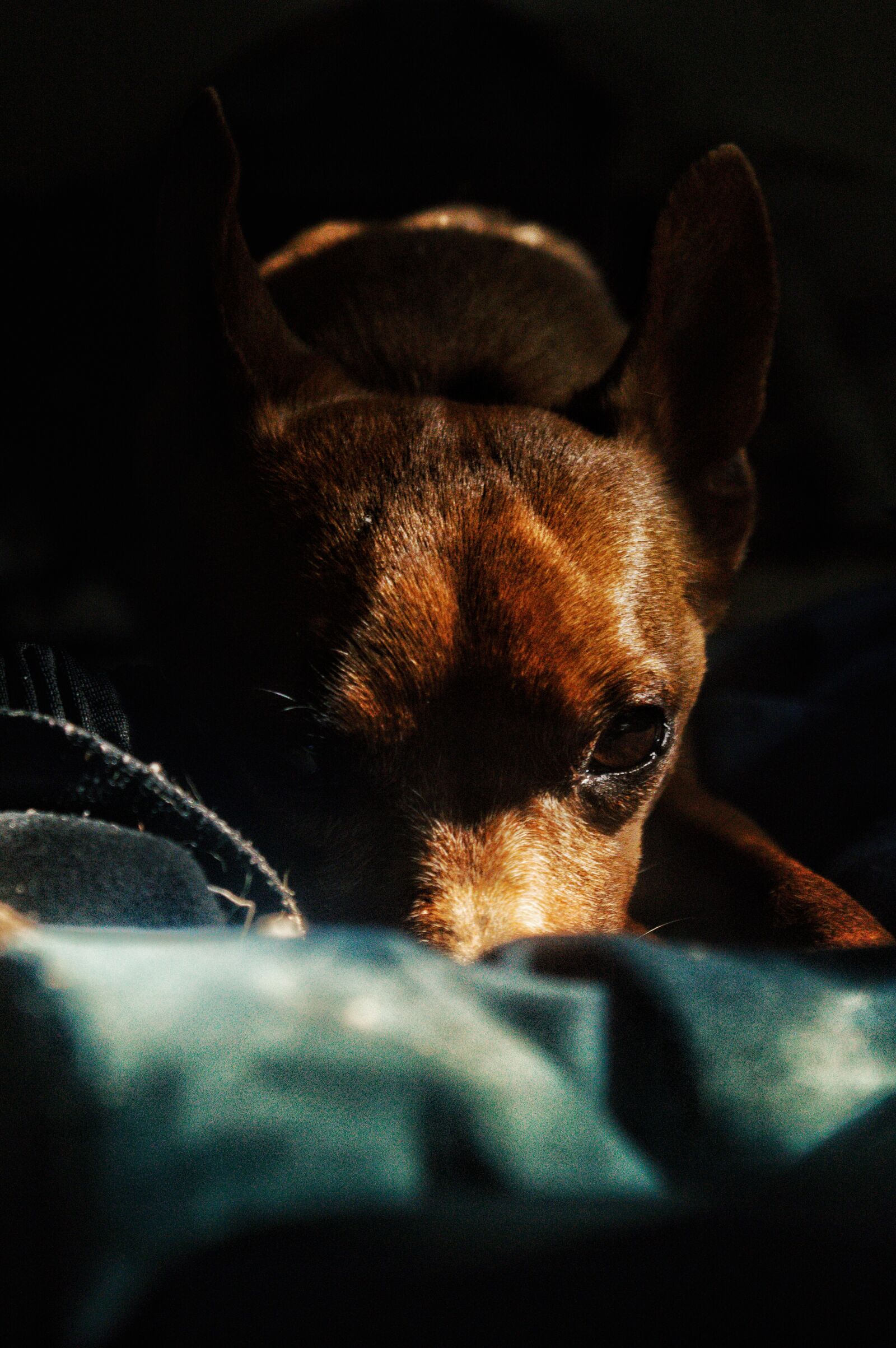 Nikon D3200 sample photo