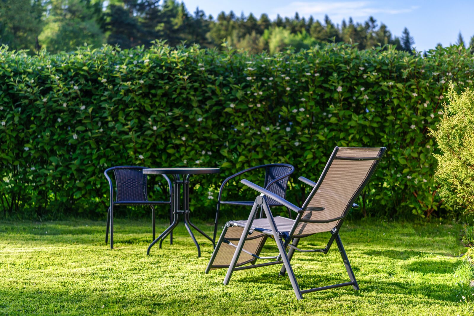 Nikon D750 sample photo. Stay in the garden photography
