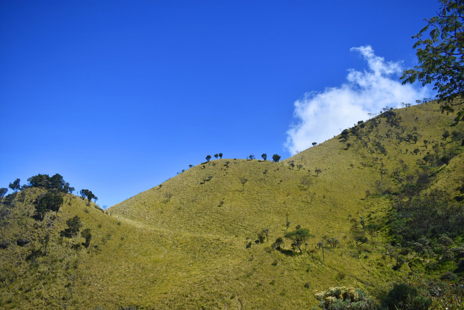 Nikon D3400 sample photo. Hill, indonesia, landscape photography