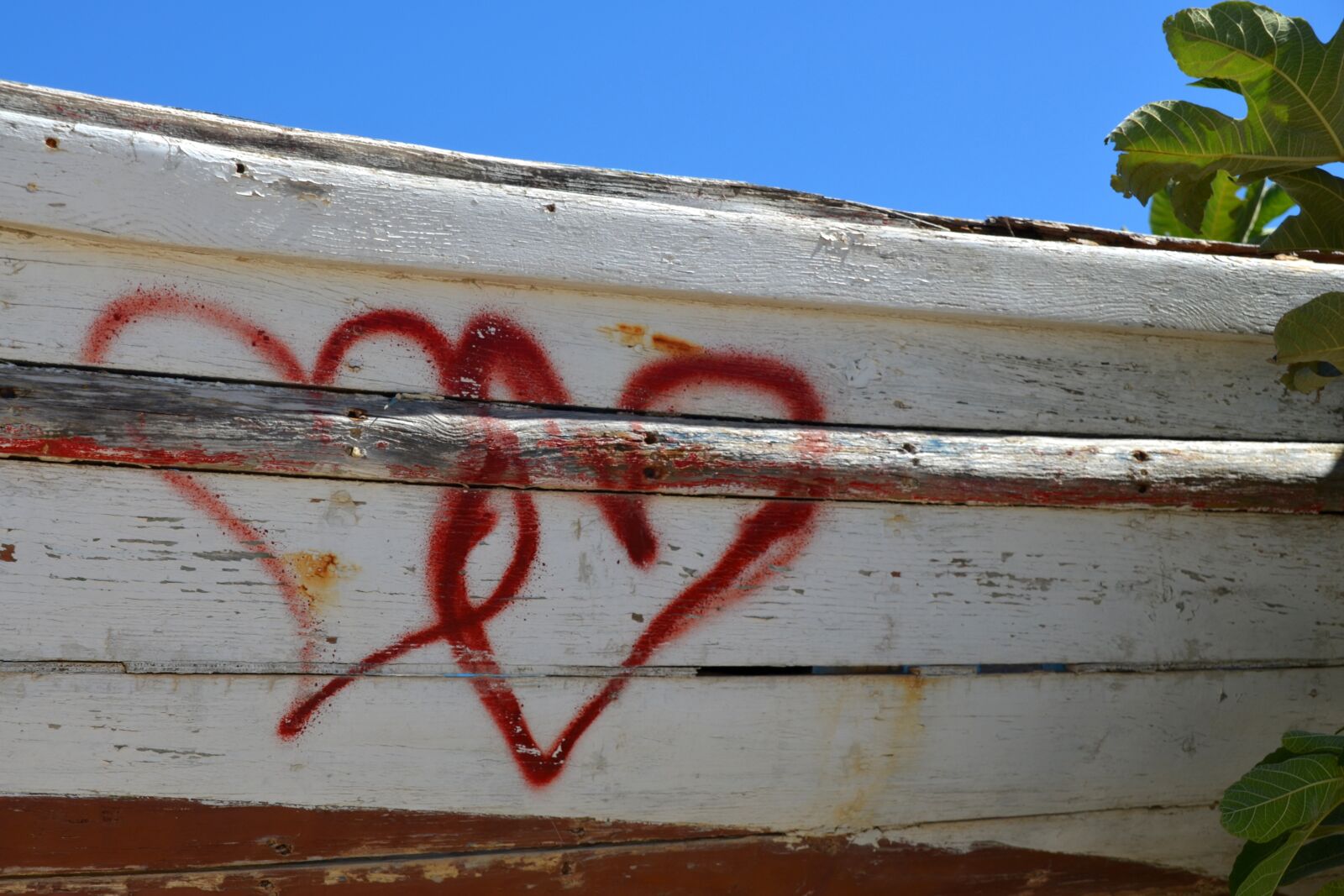 Nikon D5100 sample photo. Heart, love, valentine's day photography