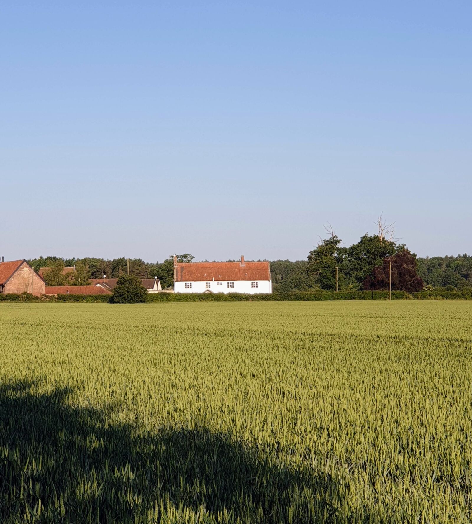 Samsung Galaxy Note9 sample photo. Norfolk, england, farmhouse photography