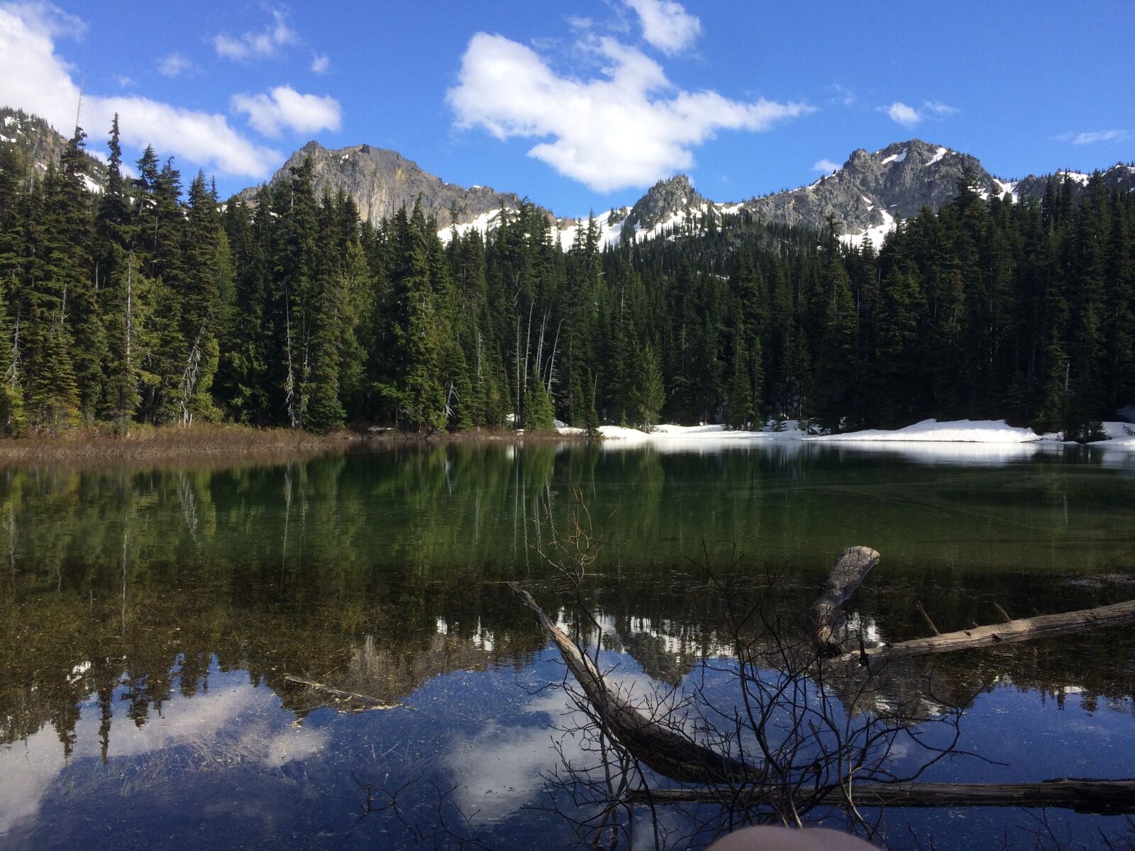 iPhone 5s back camera 4.15mm f/2.2 sample photo. Nature, serene, glass photography