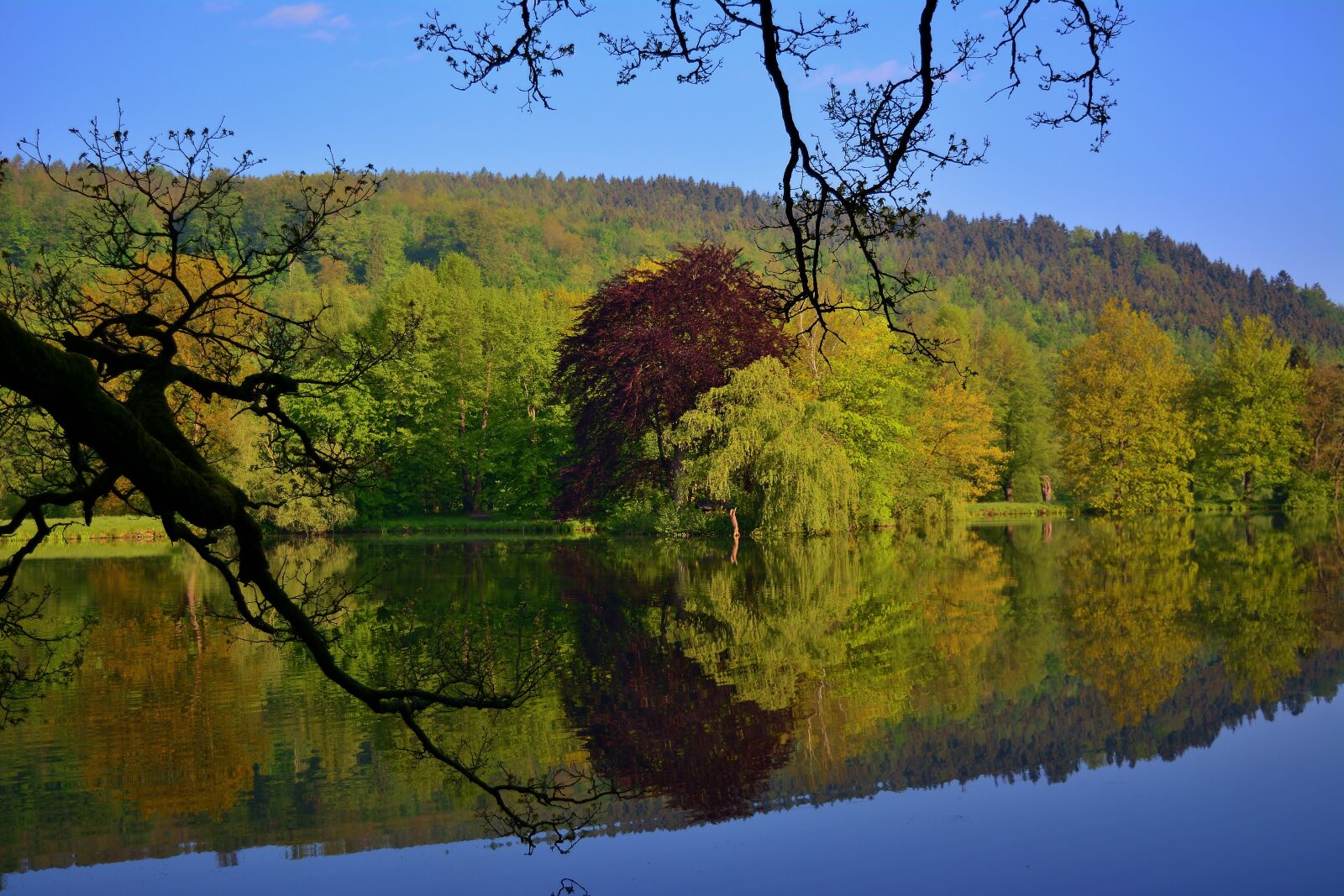 Nikon D5200 sample photo. Park lake, mirroring, greiz photography