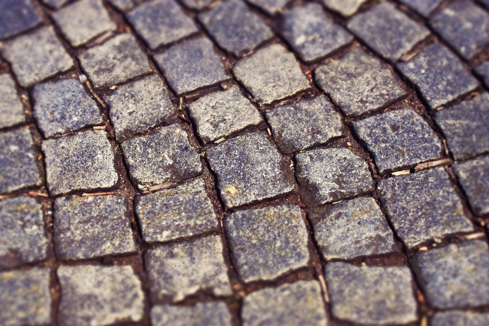 Olympus OM-D E-M10 sample photo. Cobblestones, paving stones, stones photography