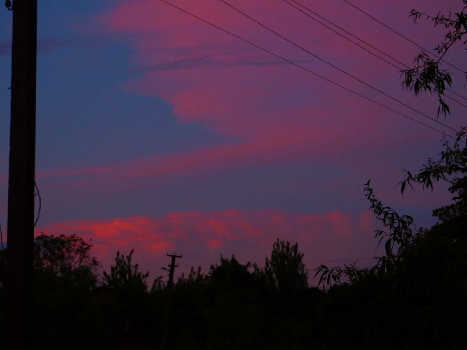 Nikon Coolpix L840 sample photo