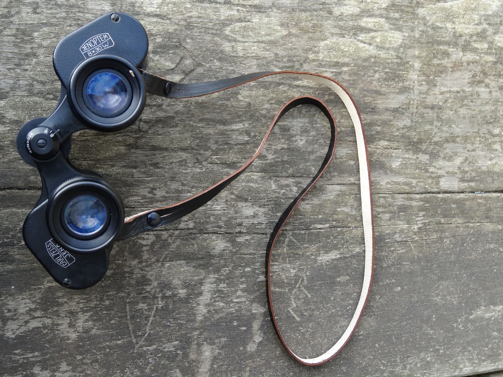 Sony Cyber-shot DSC-HX20V sample photo. Wood, binoculars, outdoor photography