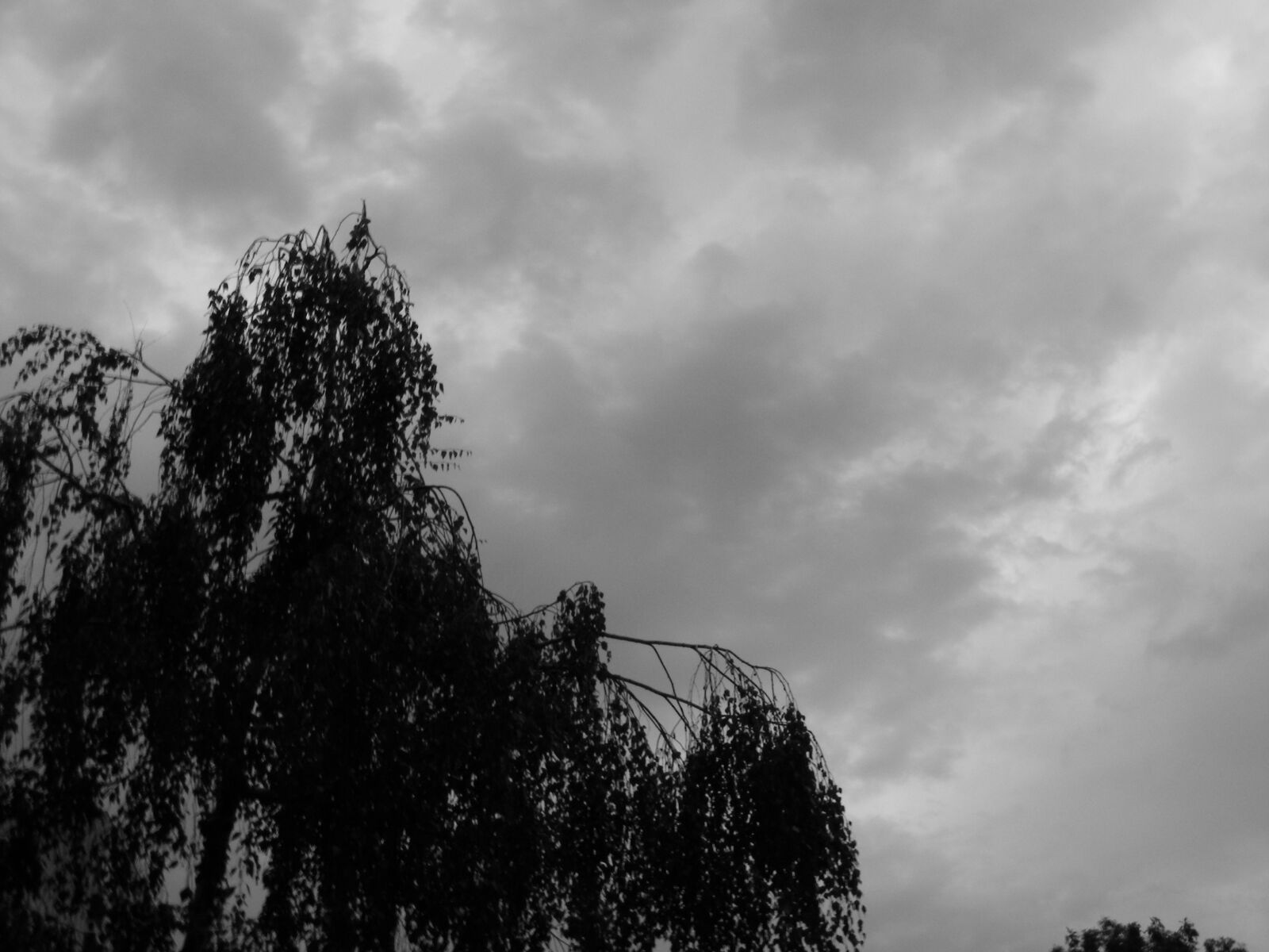 Fujifilm FinePix S5700 S700 sample photo