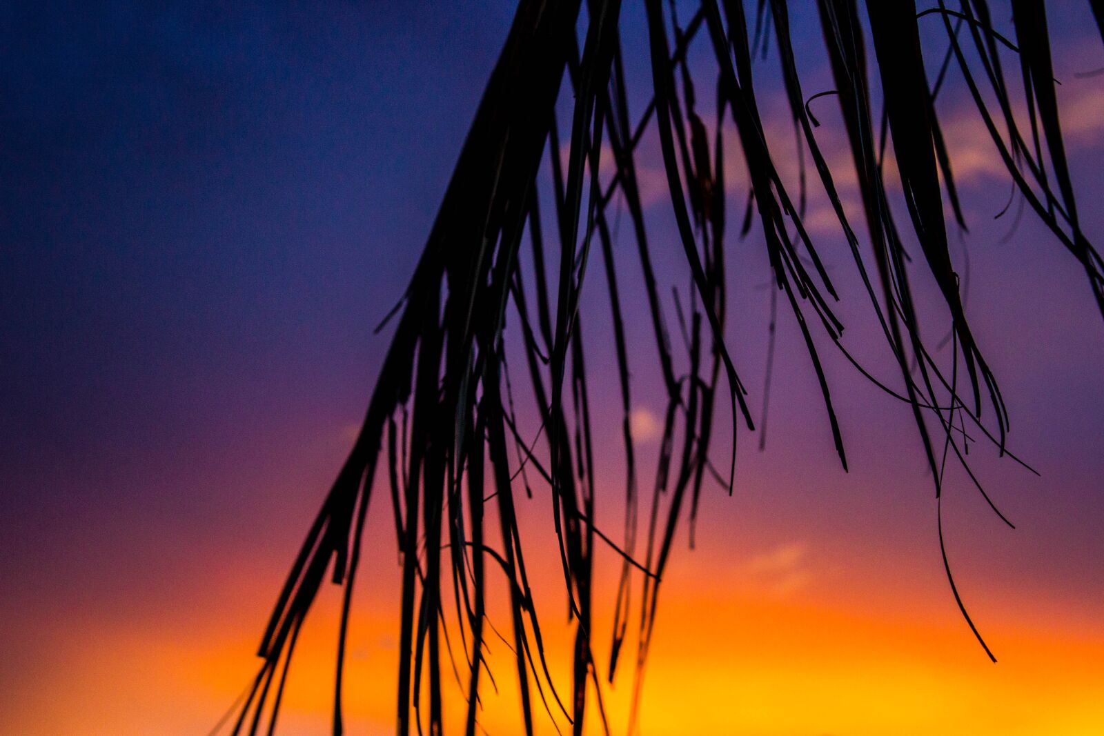 Canon EOS 600D (Rebel EOS T3i / EOS Kiss X5) sample photo. Sunset, sol, nature photography