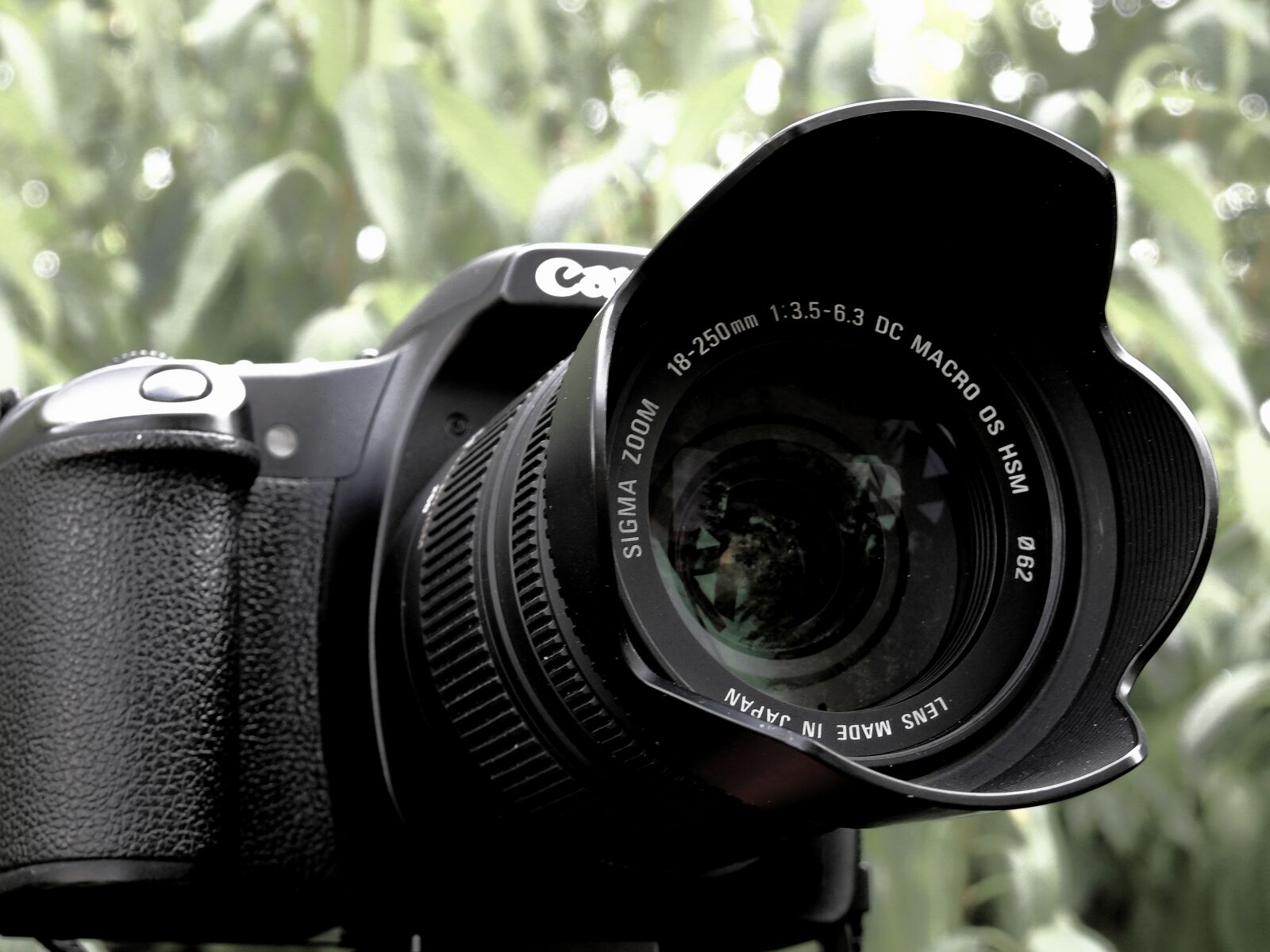 Nikon Coolpix P900 sample photo. Camera, digital camera, photograph photography