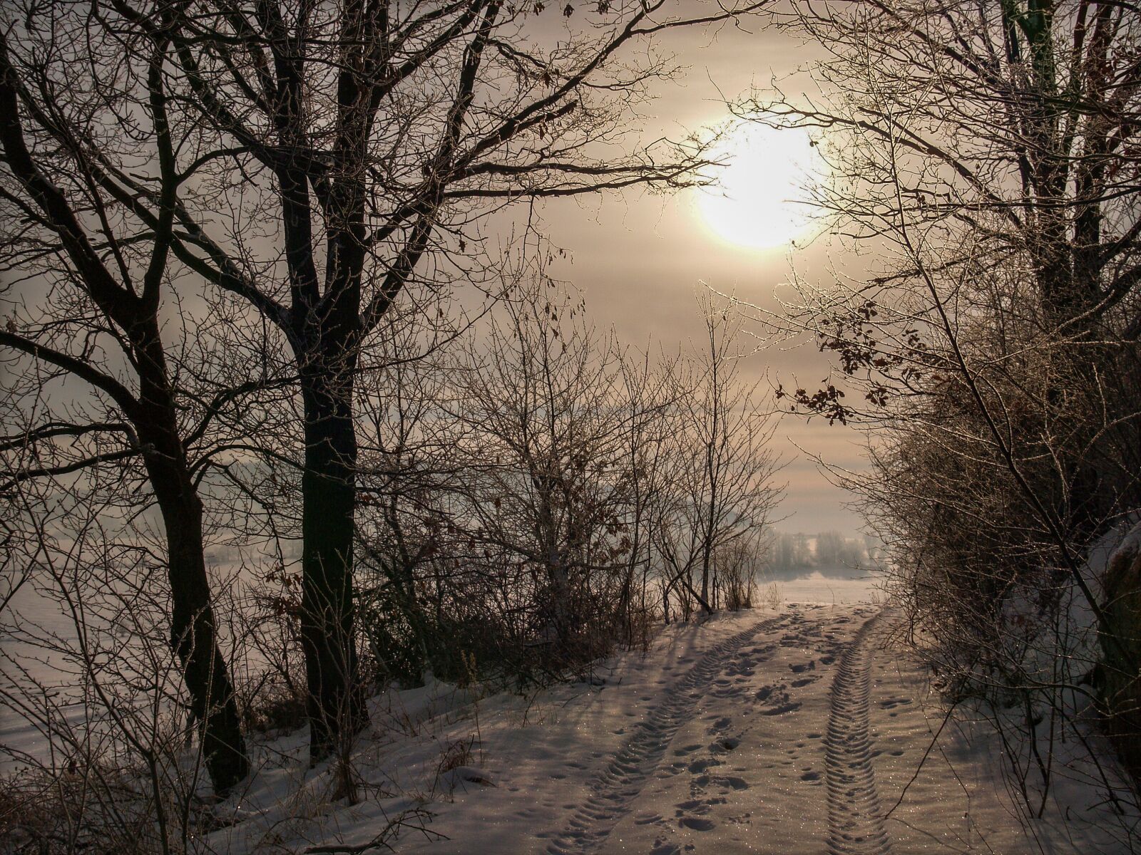 Olympus E-500 (EVOLT E-500) sample photo. Winter, light, sun photography