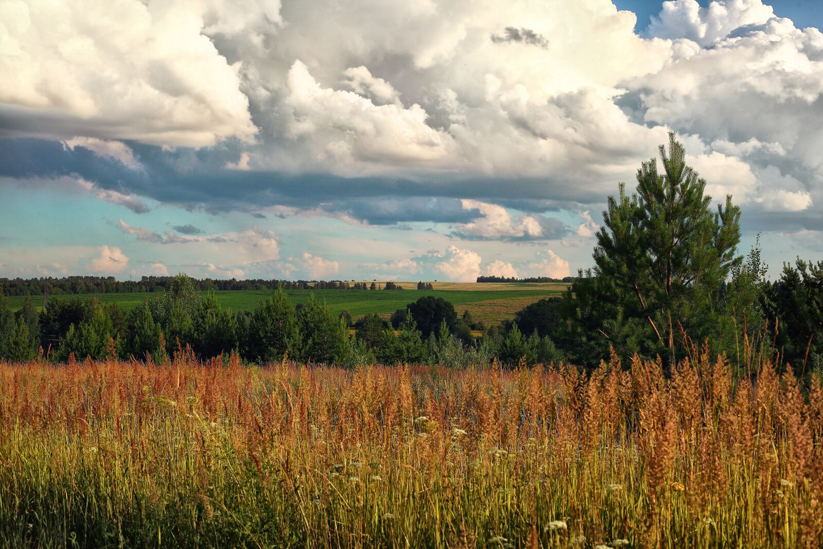Canon EOS 5D Mark II sample photo. Russia, udmurtia, fields photography