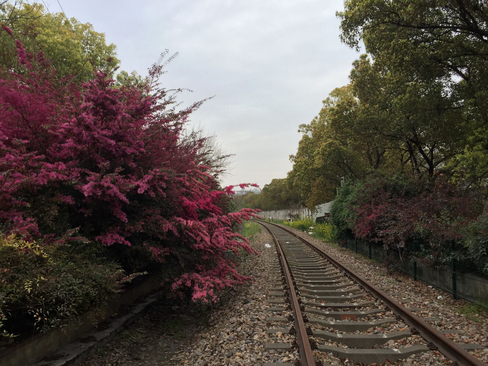 Apple iPhone 6 sample photo. Shanghai, jiangwan town metro photography