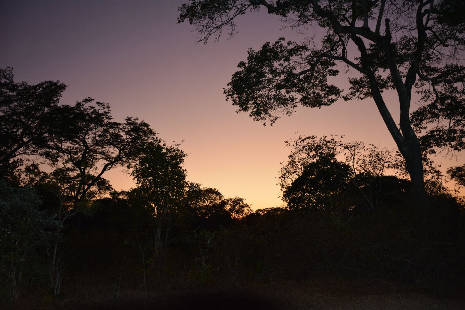 Nikon D7100 sample photo. Dawn, africa, sunrise photography