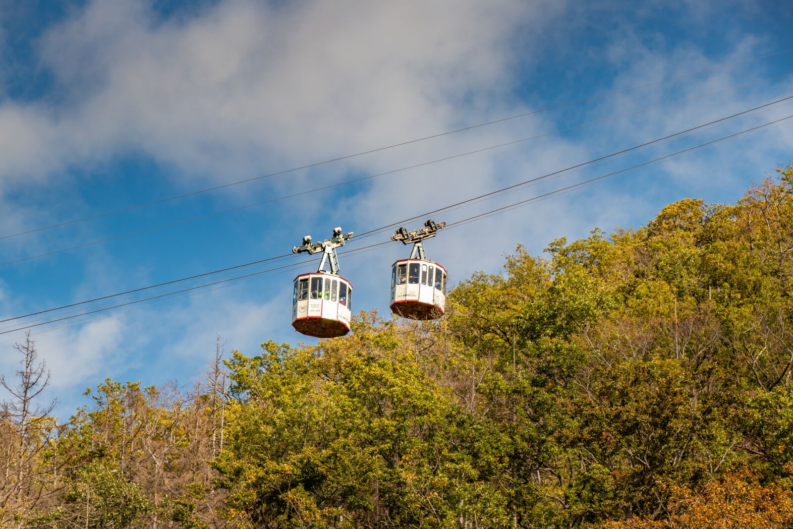 Canon EOS 80D sample photo. Cable car, harzburg, forest photography