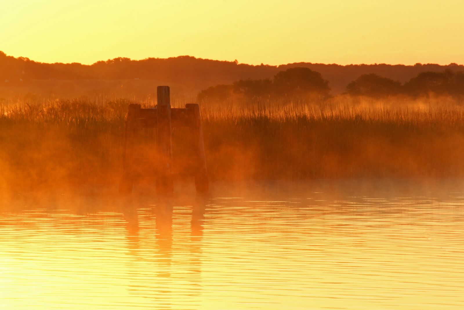Canon EOS 700D (EOS Rebel T5i / EOS Kiss X7i) sample photo. Morning hour, morning mist photography