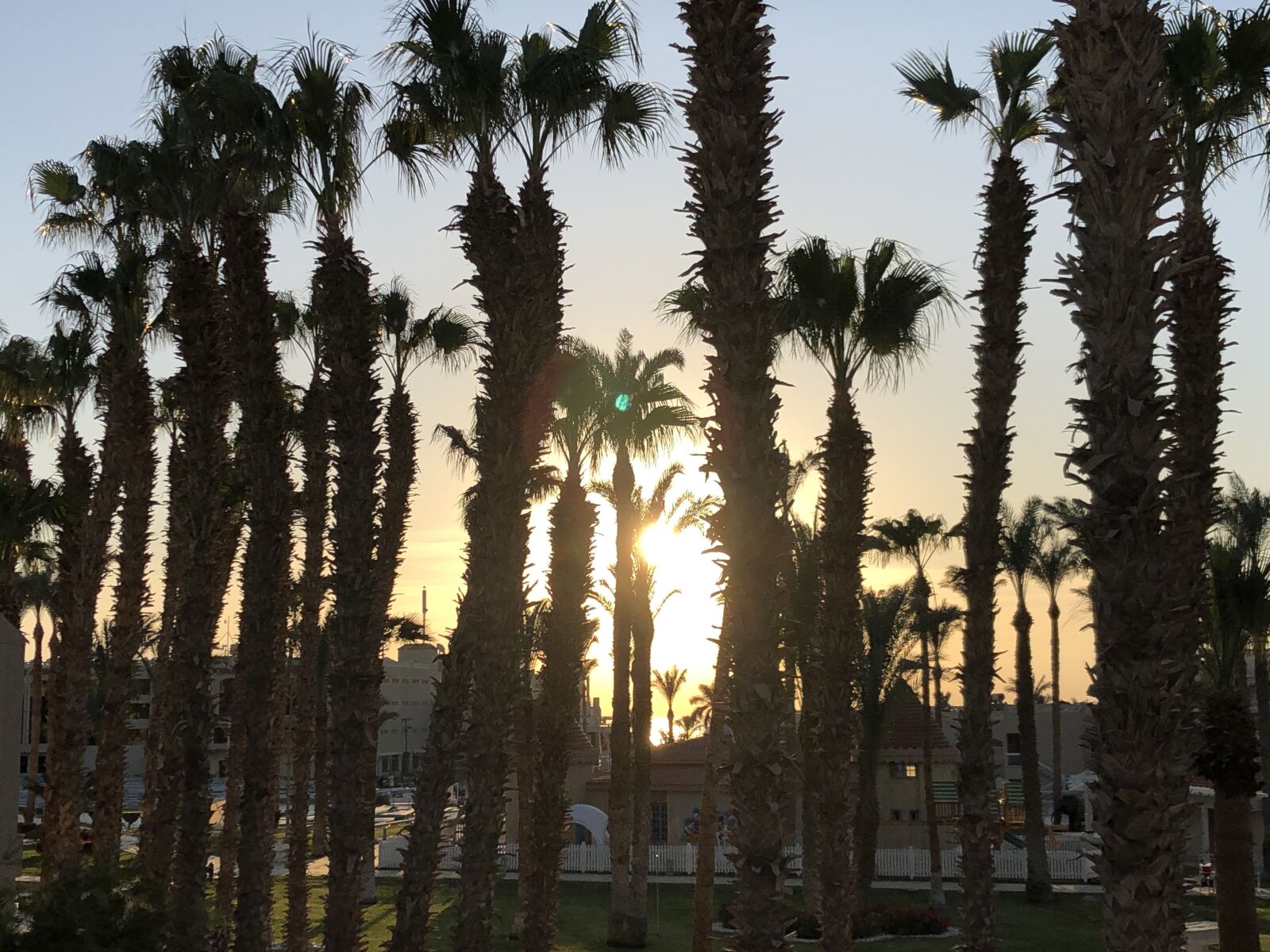 iPhone X back dual camera 4mm f/1.8 sample photo. Palm trees, vacations, sunset photography