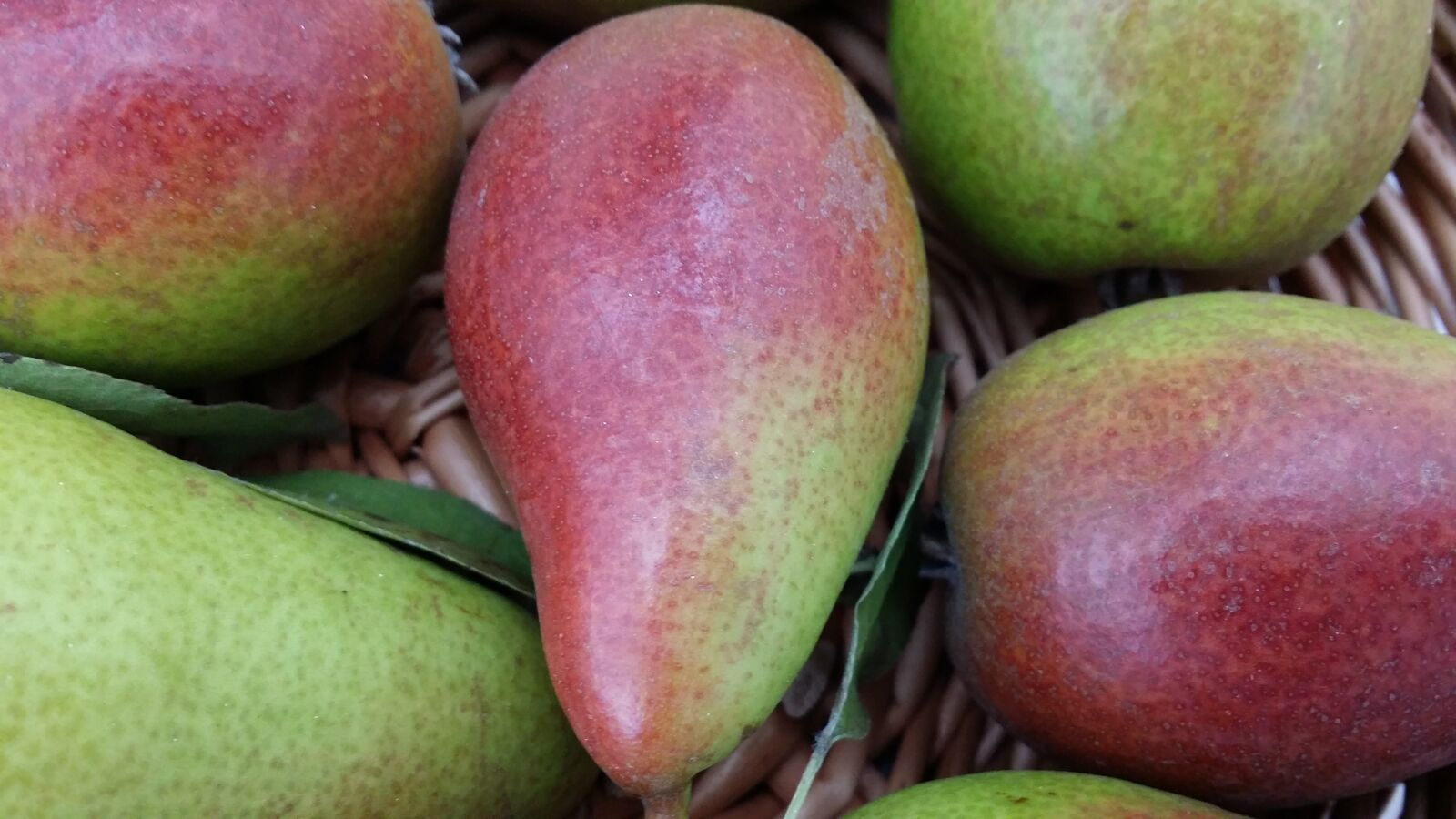 Samsung Galaxy S4 sample photo. Pear, fruit, closeup photography