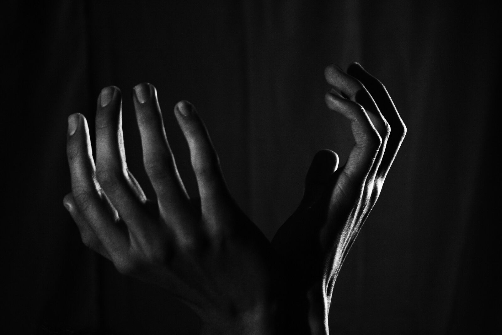 Canon EOS 1000D (EOS Digital Rebel XS / EOS Kiss F) sample photo. Hands, beg, pain photography