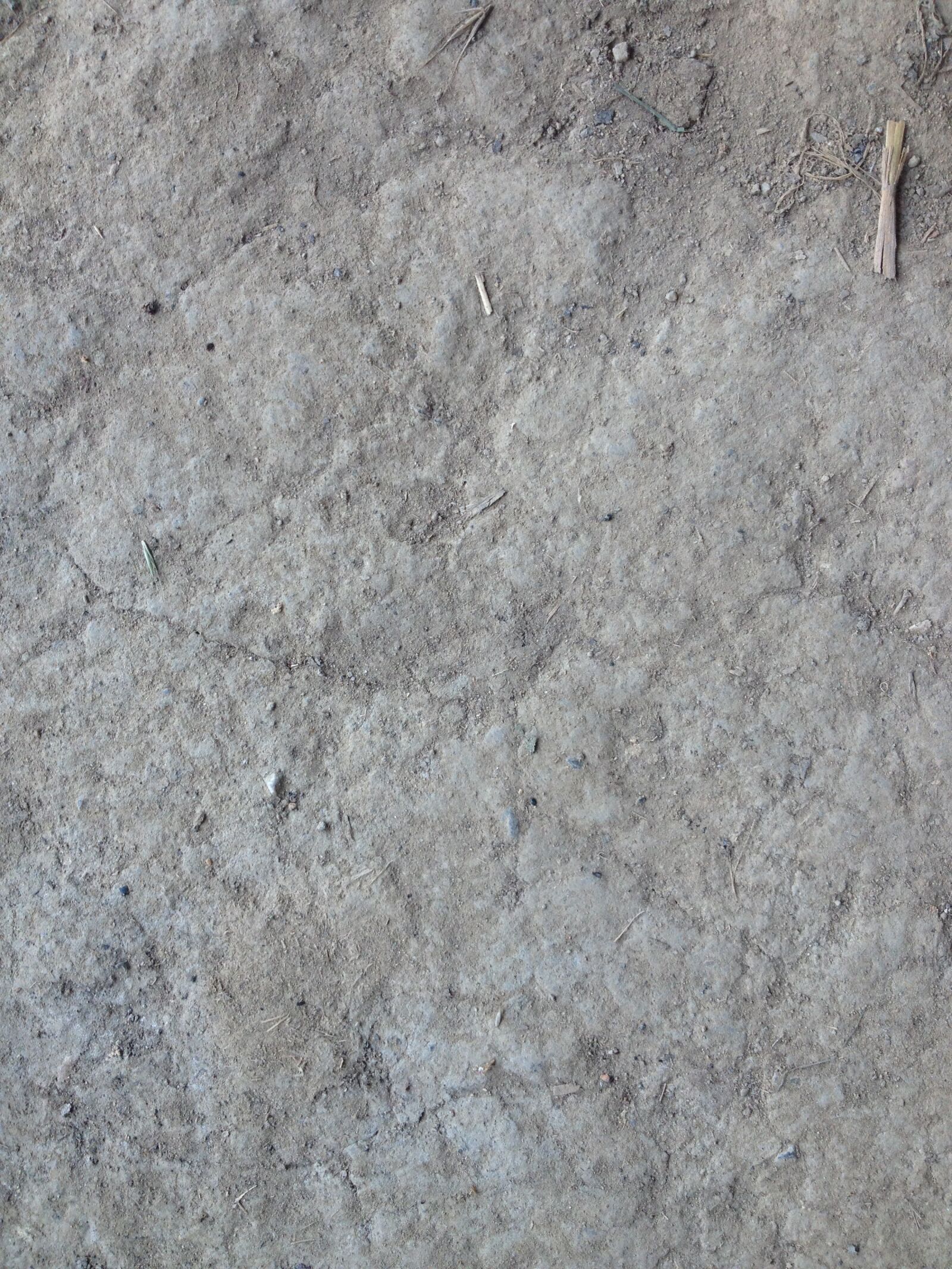 iPhone 4S back camera 4.28mm f/2.4 sample photo. Dirt, pattern, background photography