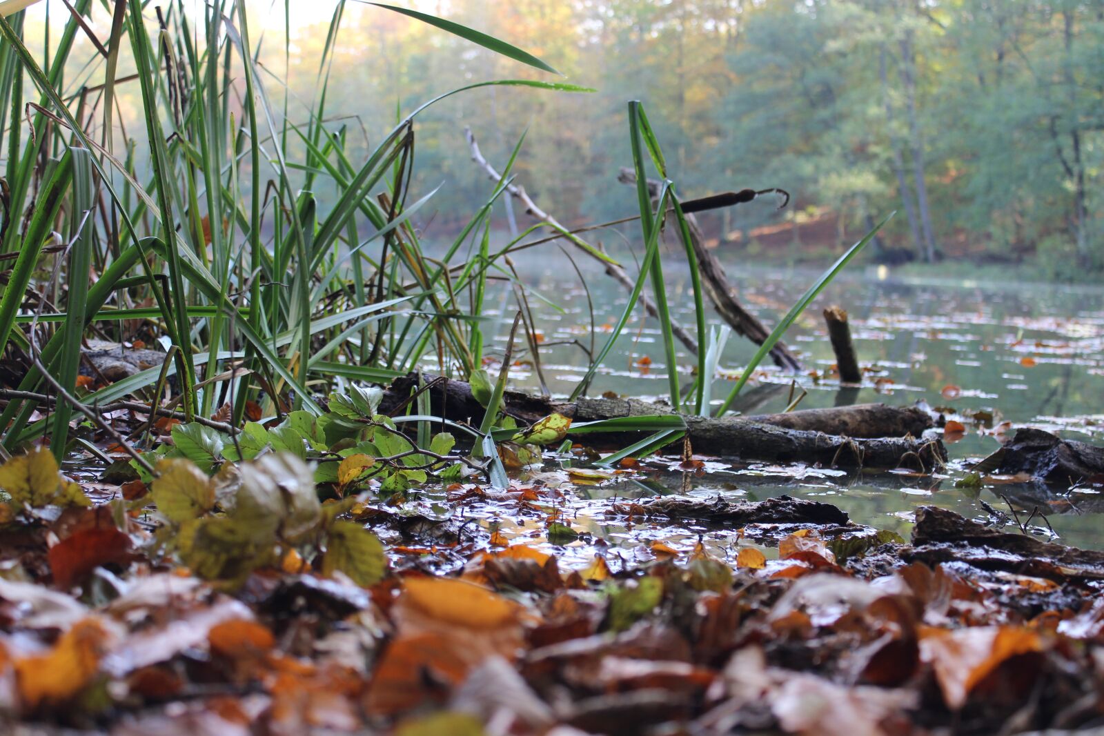Canon EOS 600D (Rebel EOS T3i / EOS Kiss X5) sample photo. Nature, lake, water photography