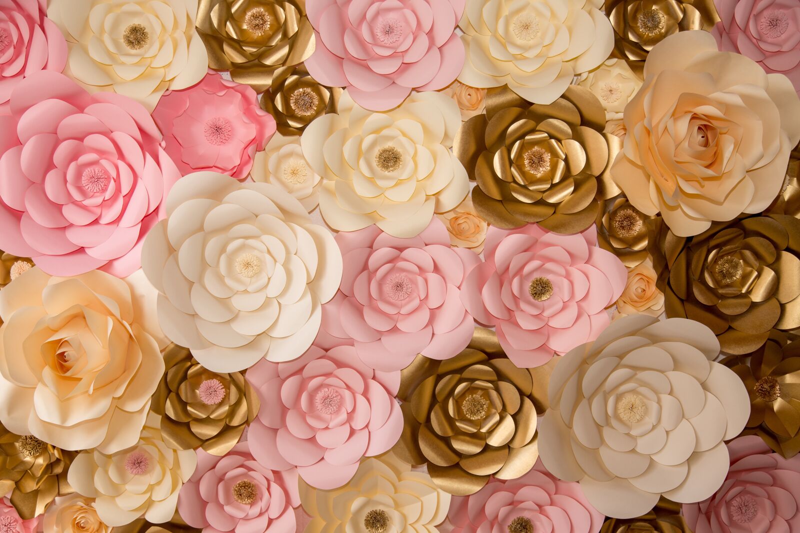 Canon EF 24-105mm F4L IS USM sample photo. Flower, floral, decoration photography