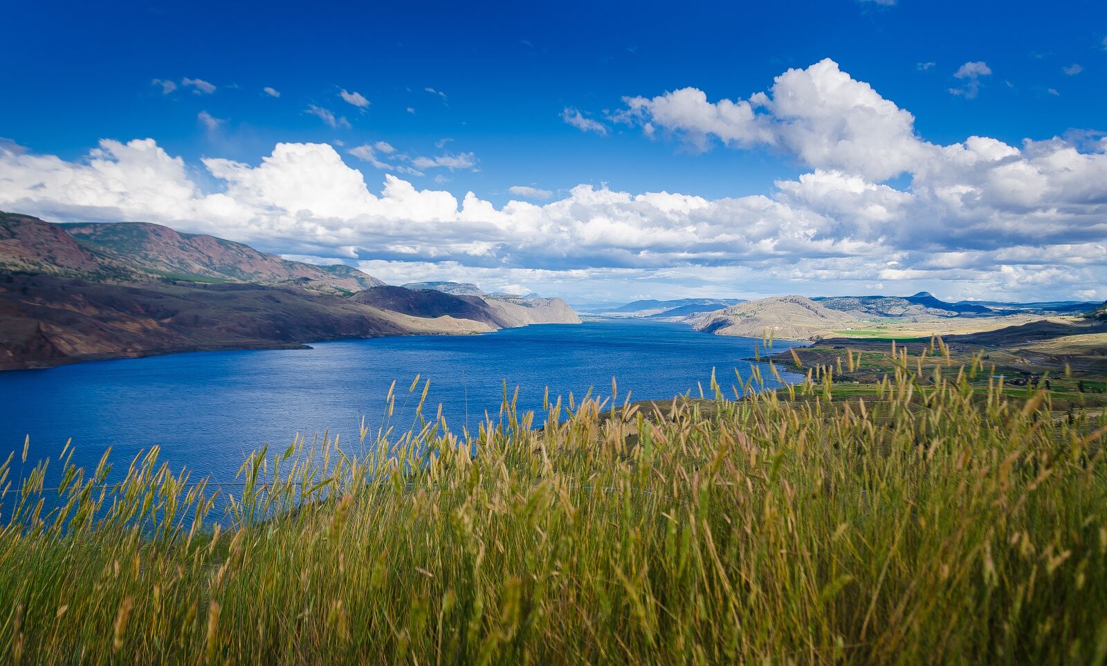 Nikon D7000 sample photo. Rivers, kamloops, beautifulbc photography