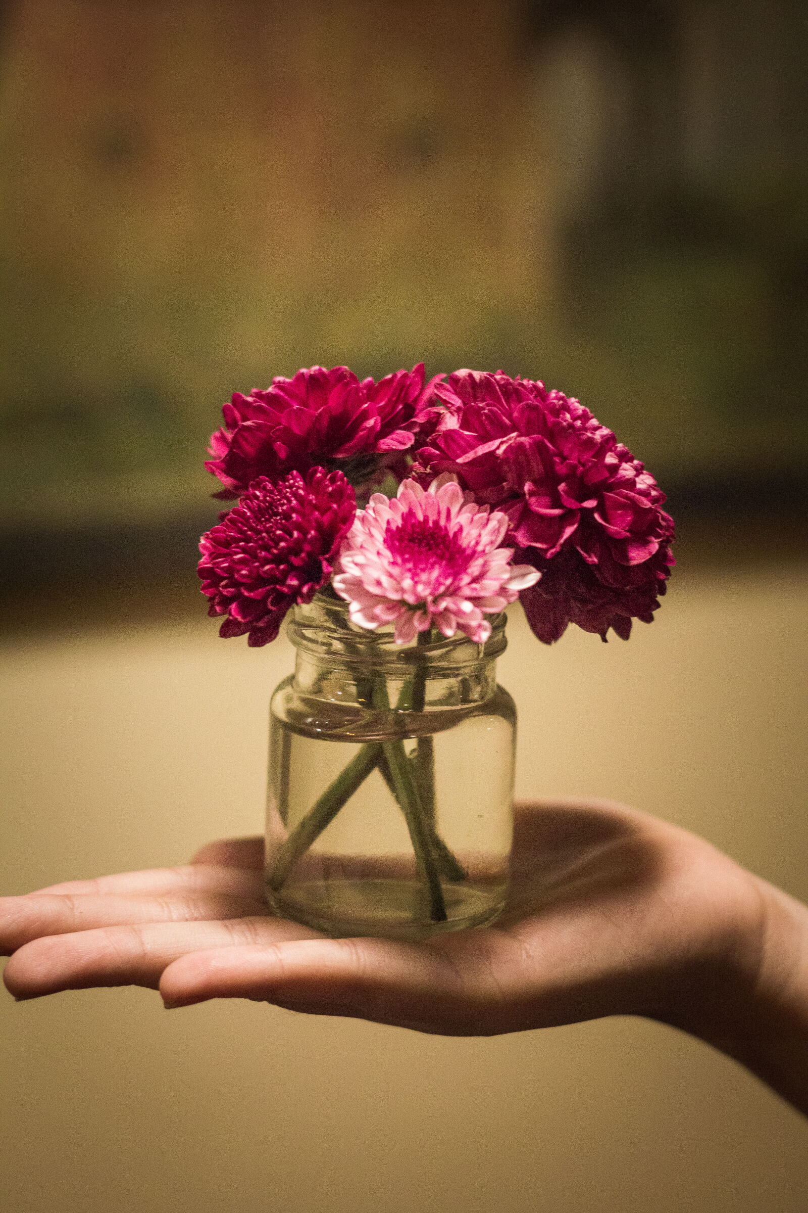 Canon EOS 700D (EOS Rebel T5i / EOS Kiss X7i) sample photo. Beautiful, flowers, coffee, girl photography