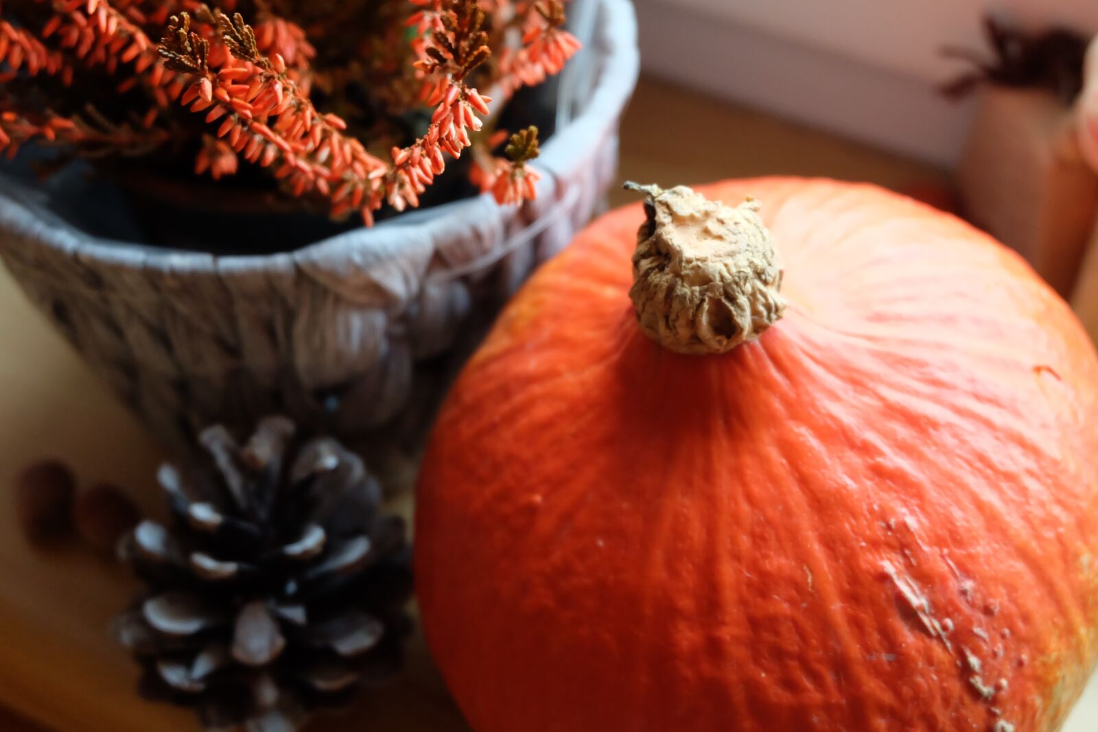 Fujifilm X-A2 + Fujifilm XC 16-50mm F3.5-5.6 OIS II sample photo. Nature, still life, pumpkin photography