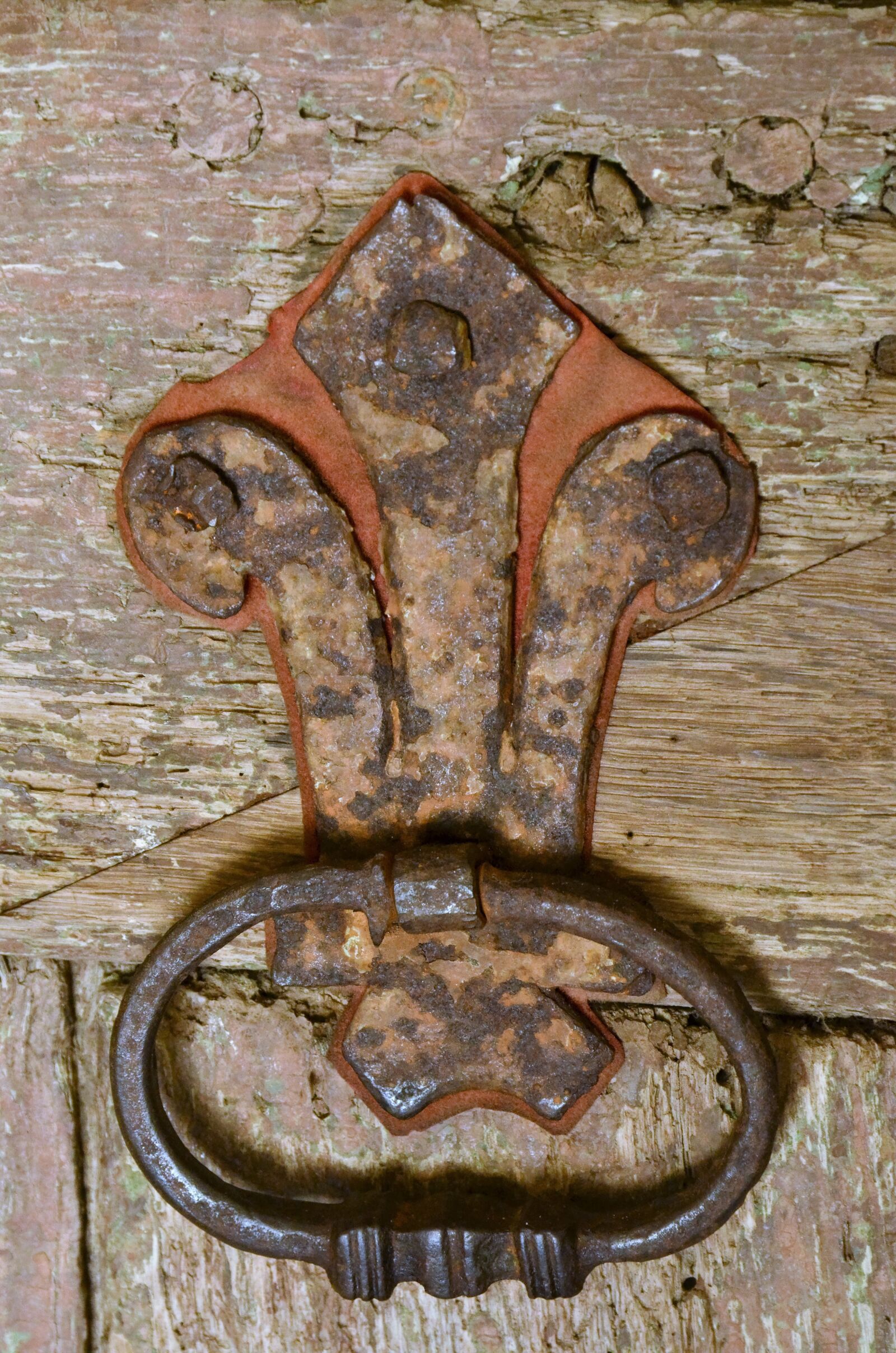 Nikon D7000 sample photo. Knocker, throb, door photography