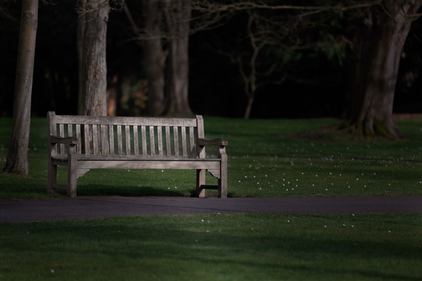 Canon EOS 6D Mark II + Canon EF 70-200mm F2.8L IS II USM sample photo. Bench, park, the silence photography