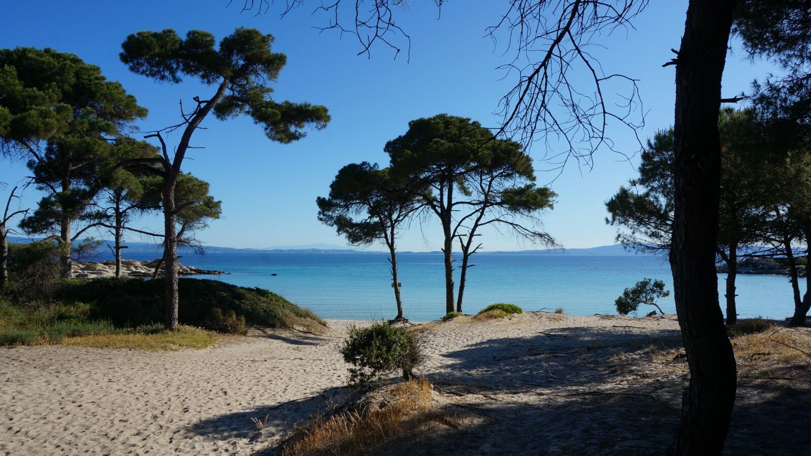 Sony Alpha NEX-5T sample photo. Trees, beach, greece photography