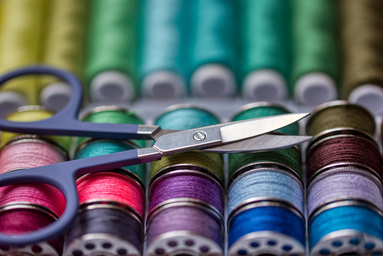 Nikon D750 sample photo. Thread, sewing accessories, colorful photography