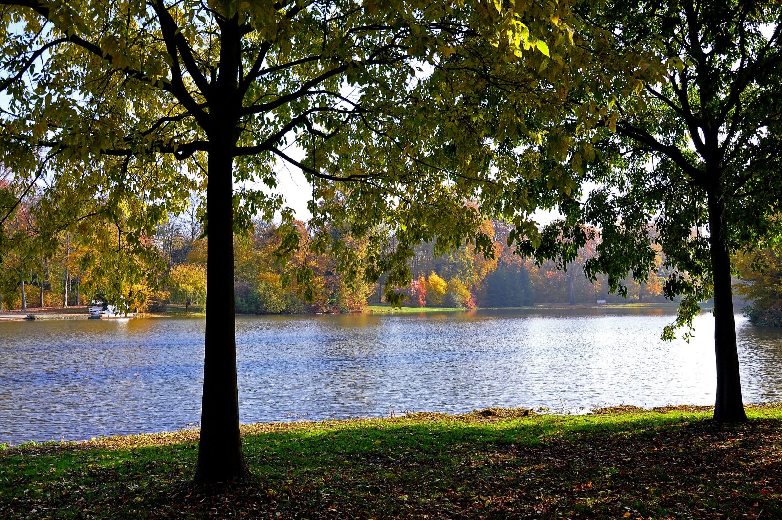 Nikon D90 sample photo. Lake, castle park, herbstimpression photography