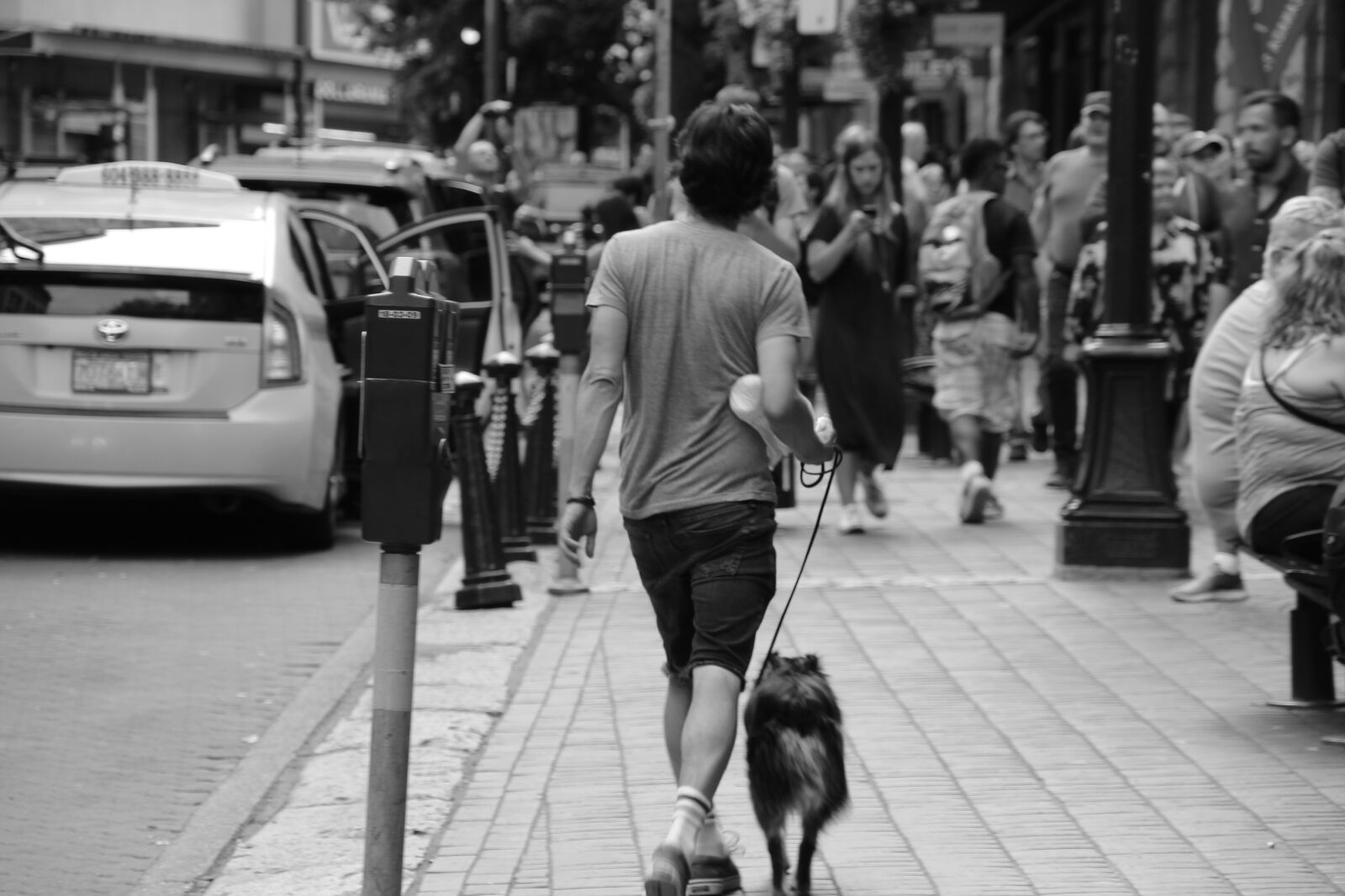 Canon EOS 1200D (EOS Rebel T5 / EOS Kiss X70 / EOS Hi) sample photo. Canada, british columbia, downtown photography