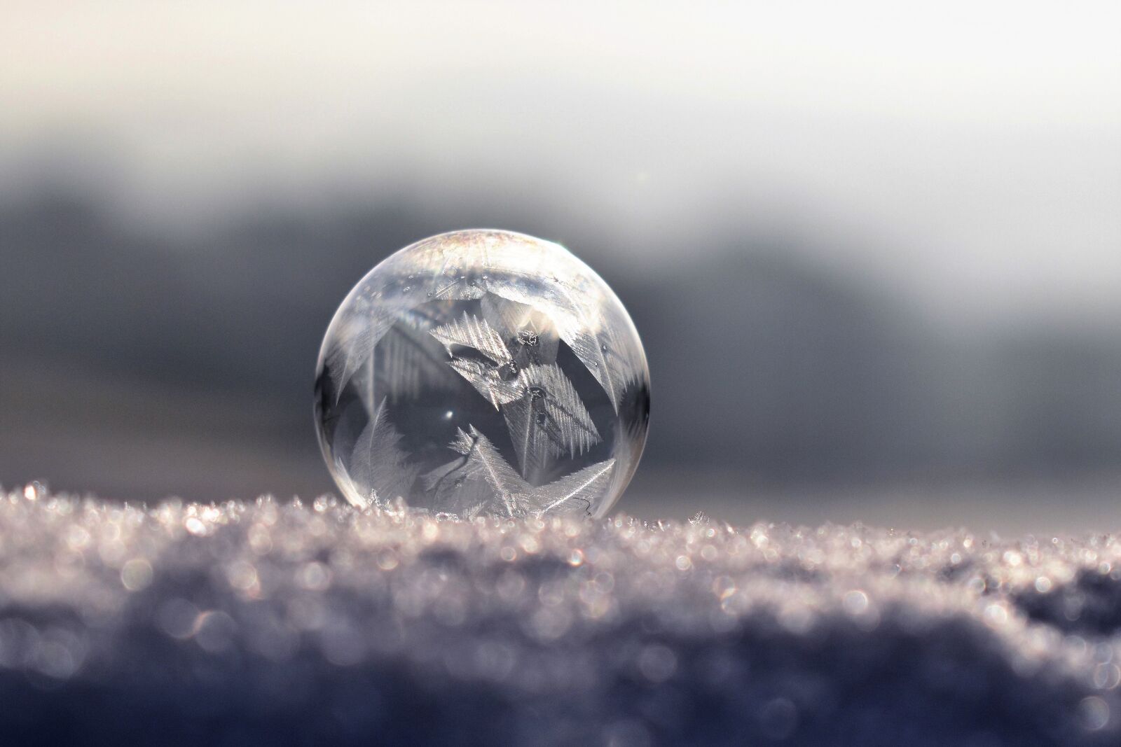 Nikon D5500 sample photo. Soap bubble, frozen, frozen photography