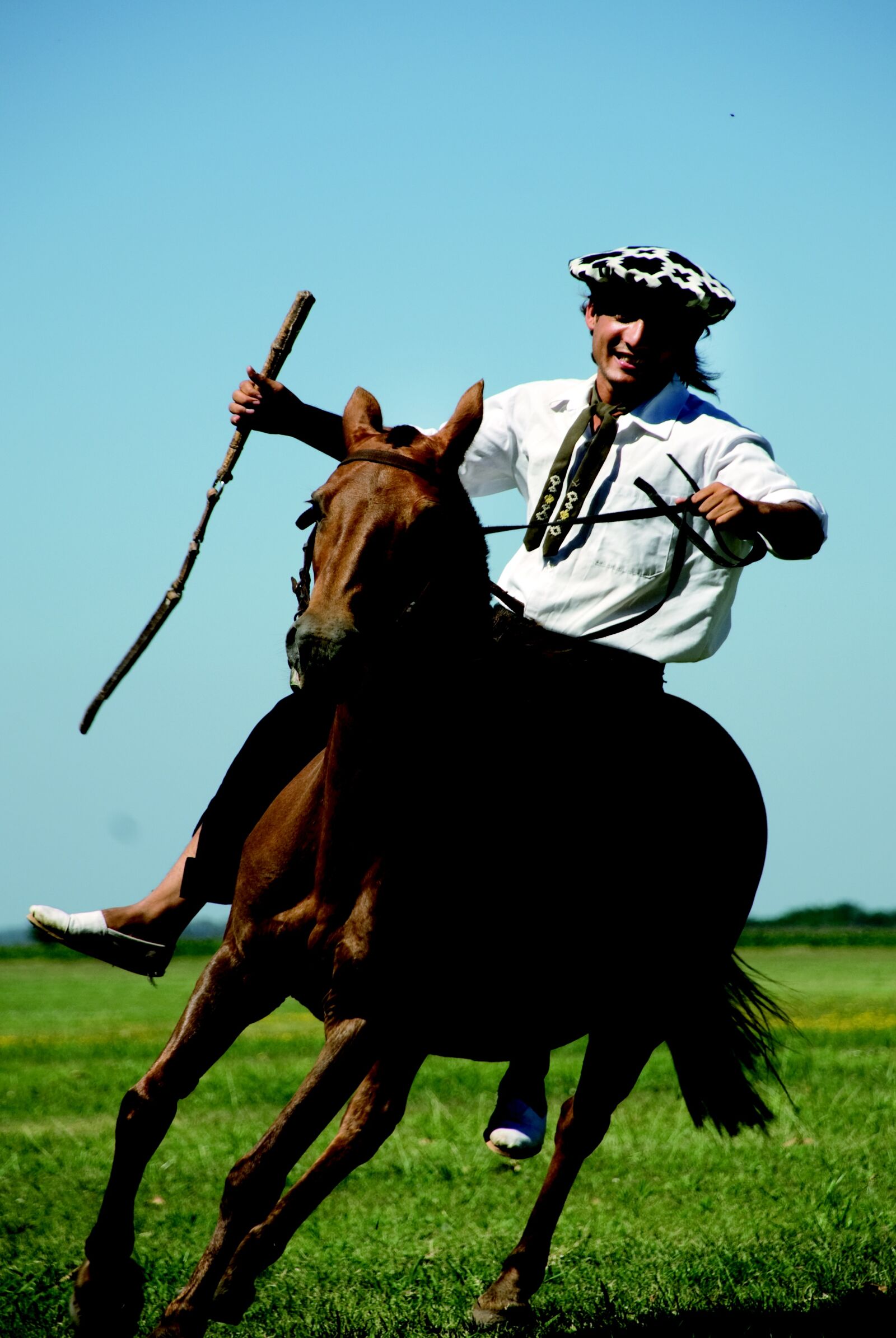 Nikon D200 sample photo. Ride, field, ginete photography