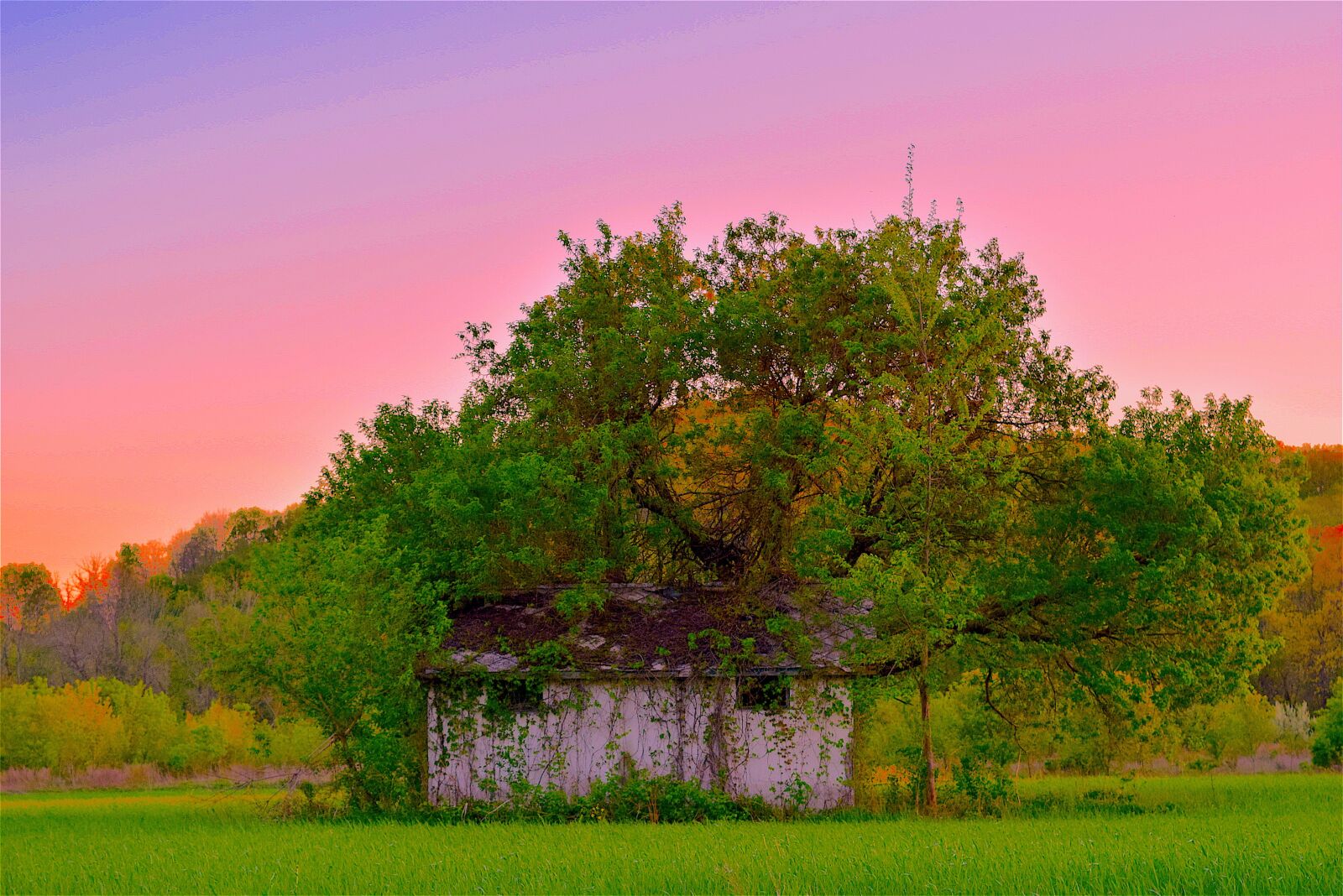 Nikon D3300 sample photo. Shack, run down, rustic photography