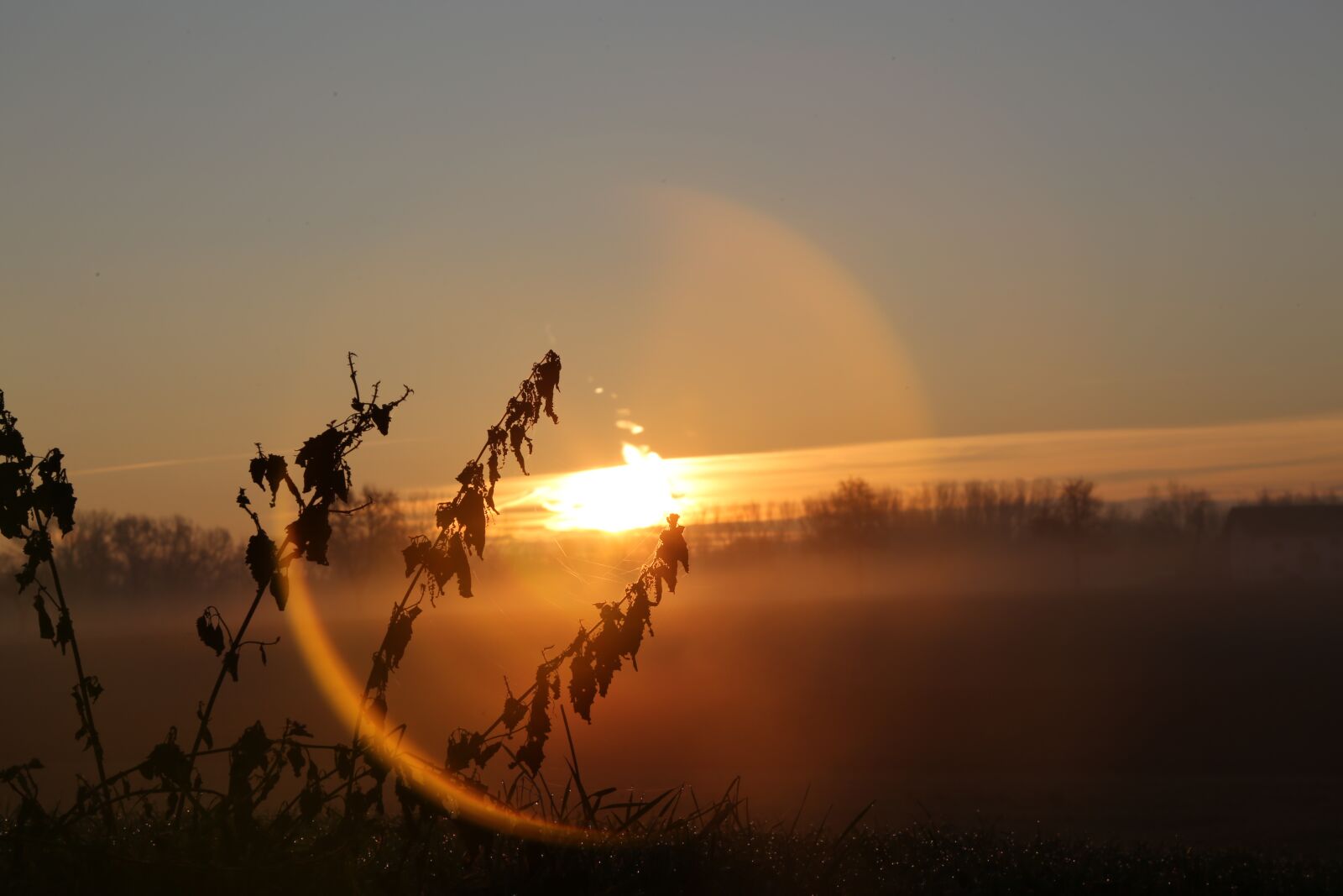 Canon EF 24-105mm F4L IS USM sample photo. Morning, landscape, color photography