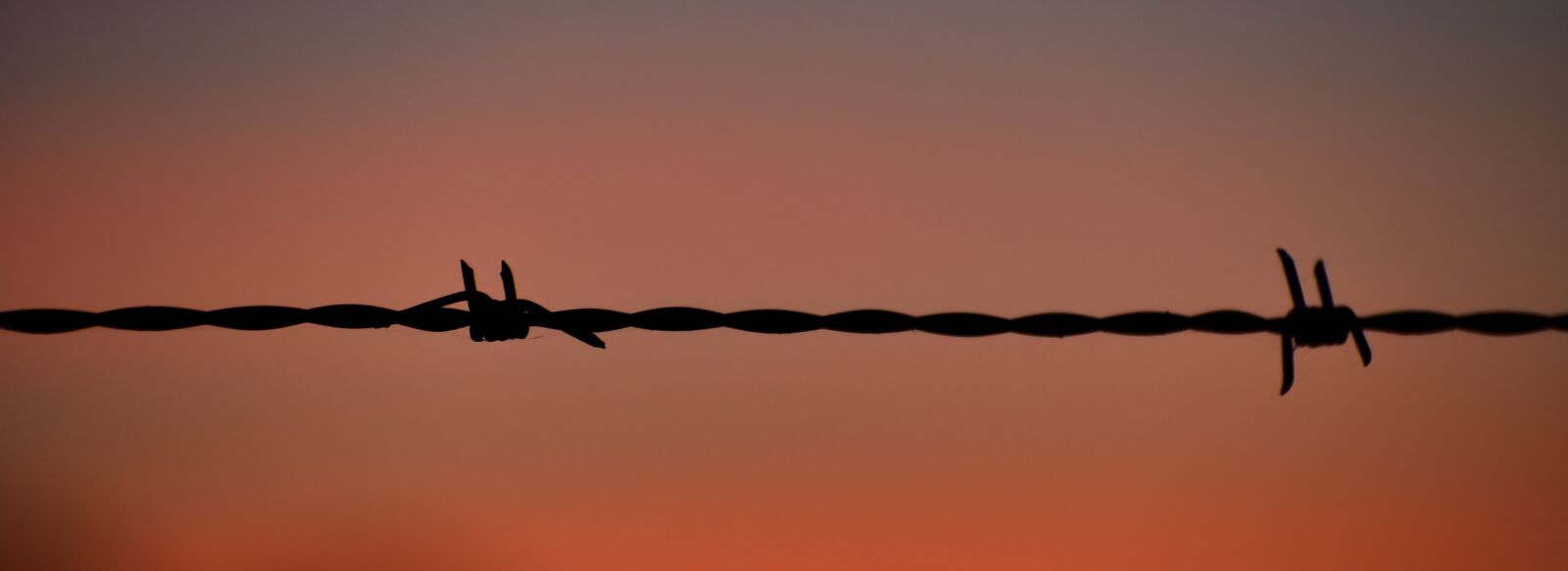 Nikon D7200 sample photo. Sunset, silhouette, barb wire photography
