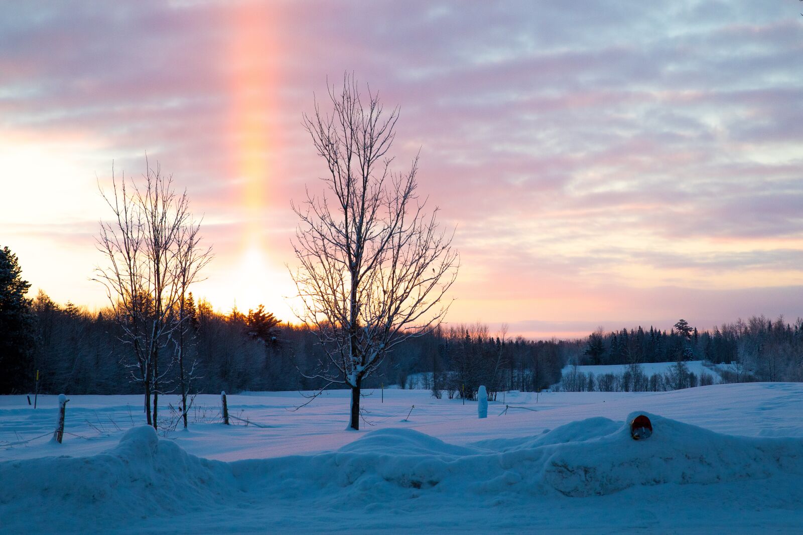 Canon EOS 5D Mark IV sample photo. Landscape, winter, cold photography