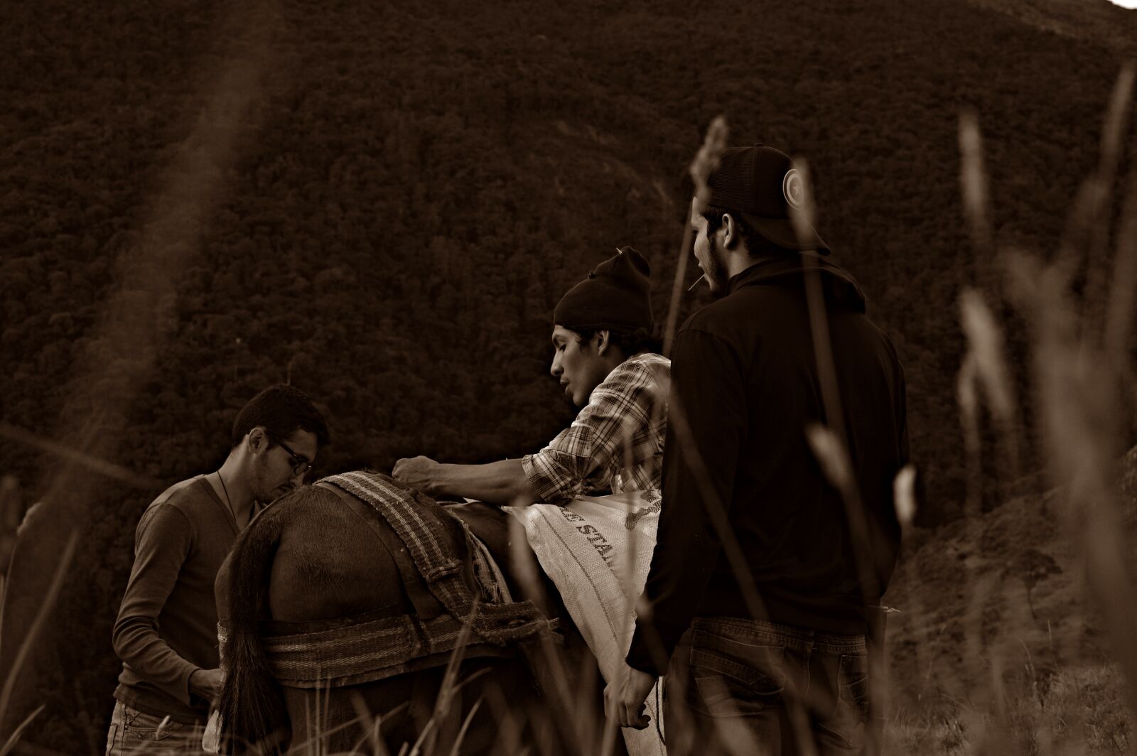 Nikon D3200 sample photo. Horses, people, field photography