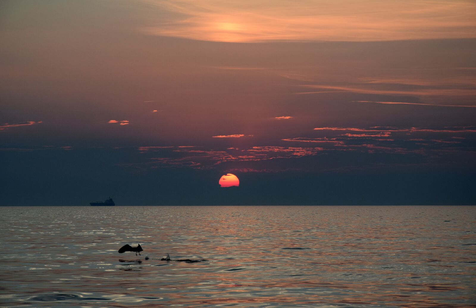 Nikon D3300 sample photo. Sunset, trieste, sea photography