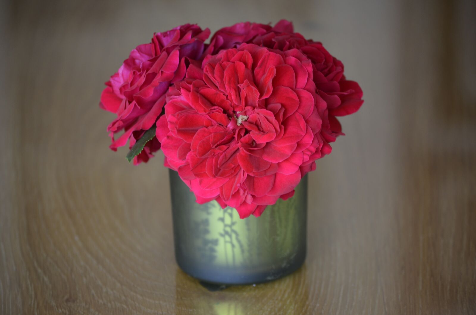 Nikon D5100 sample photo. Red, table decorations, bouquet photography