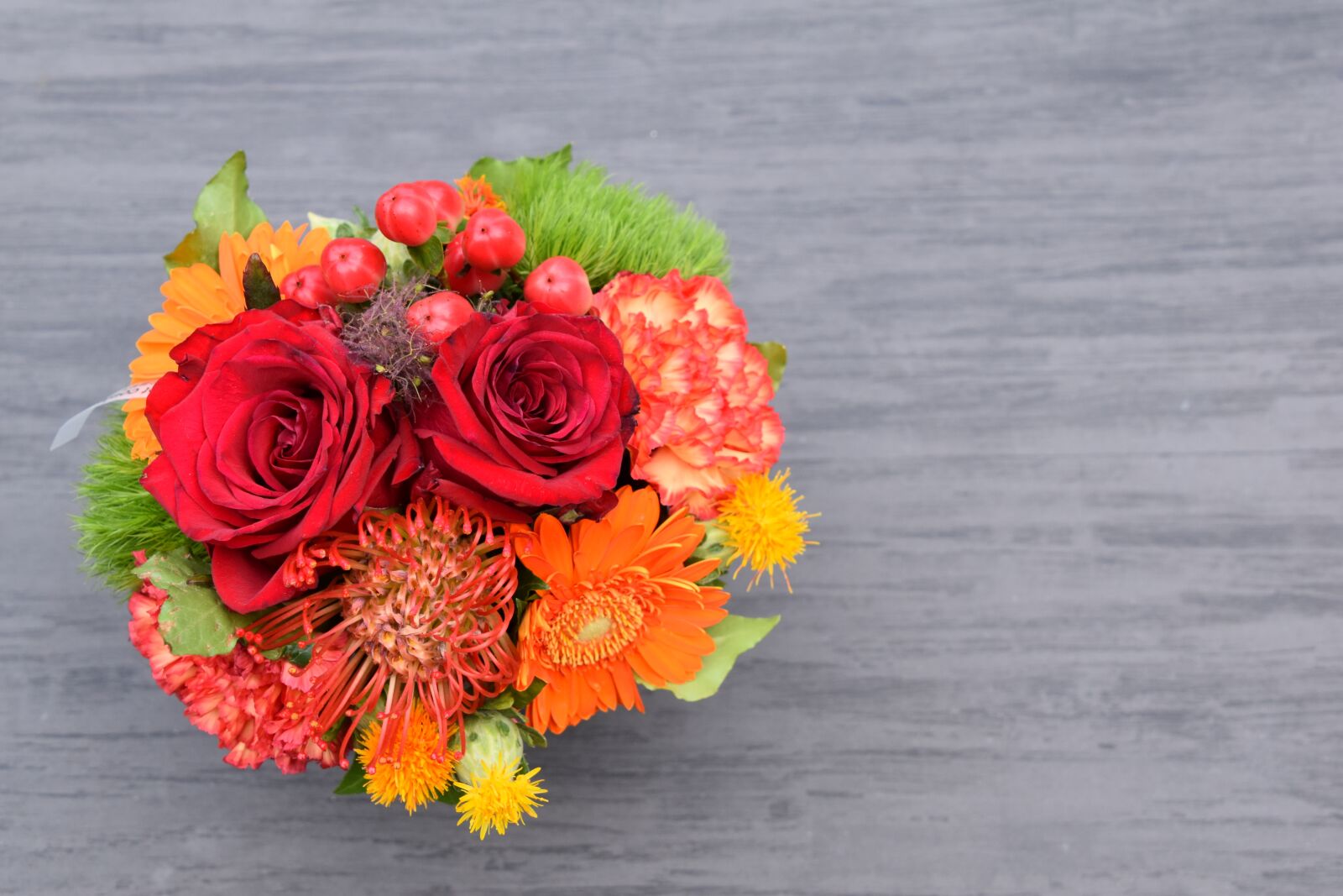 Nikon D5600 sample photo. Mounting, flowers, nature photography