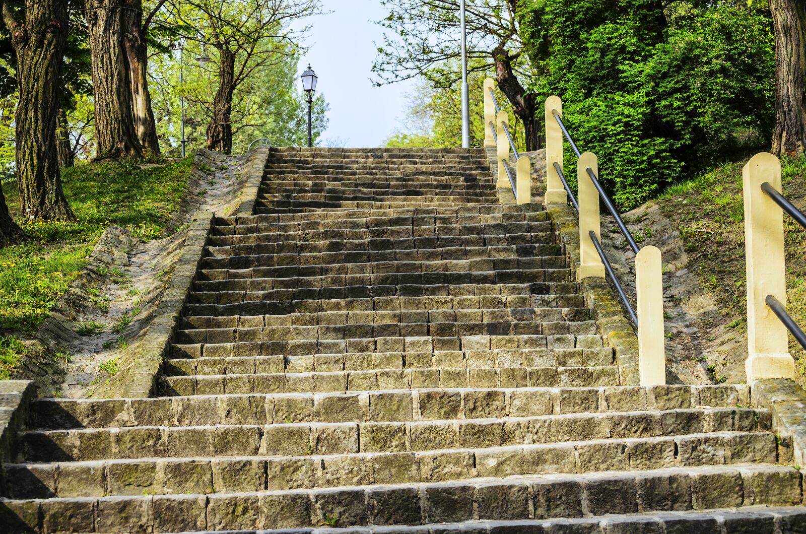 Nikon D5100 sample photo. Stairs, up, park photography