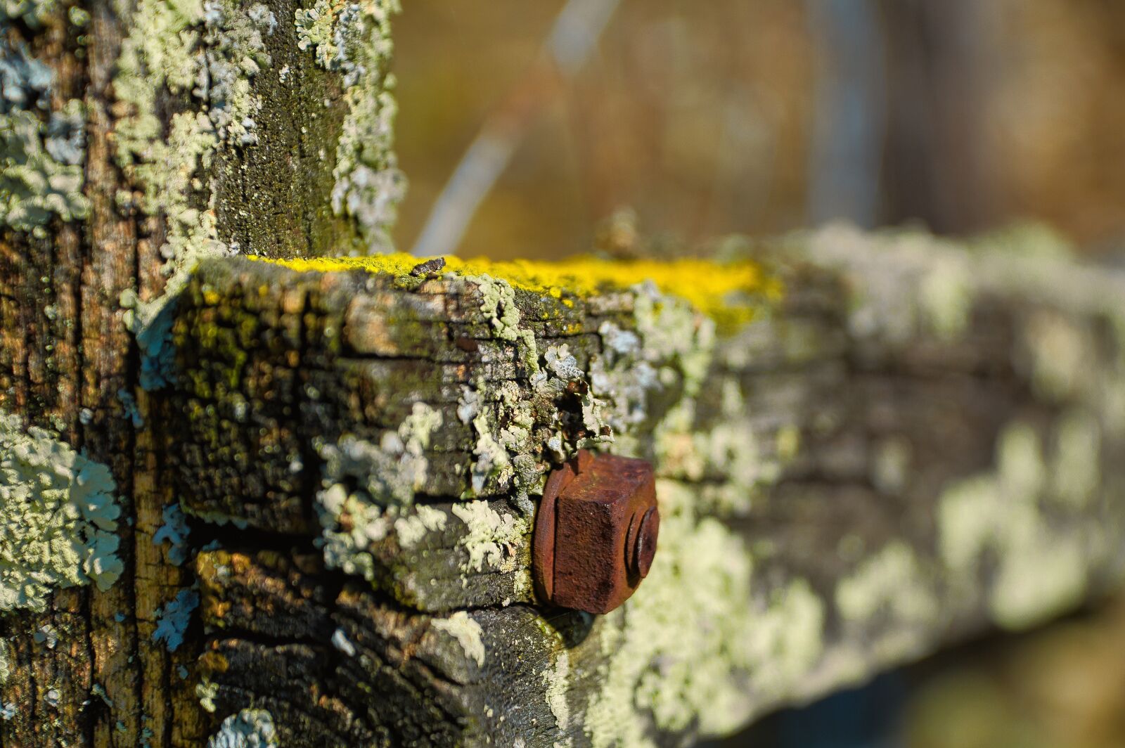 Nikon D7100 sample photo. Wood fence, bulkhead, natural photography