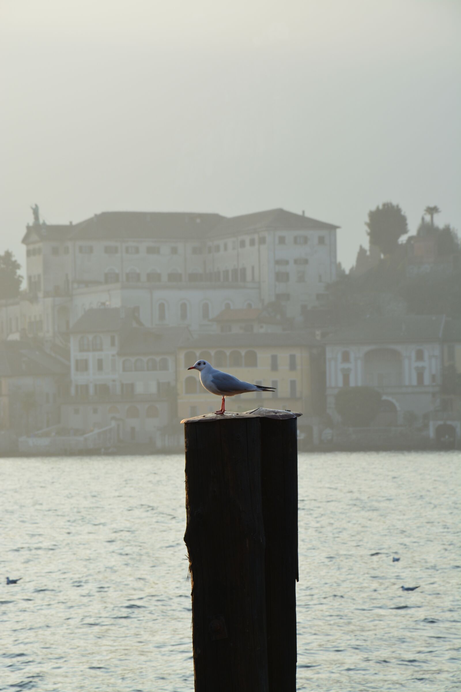 Nikon D5200 sample photo. Piemonte, lake orta photography