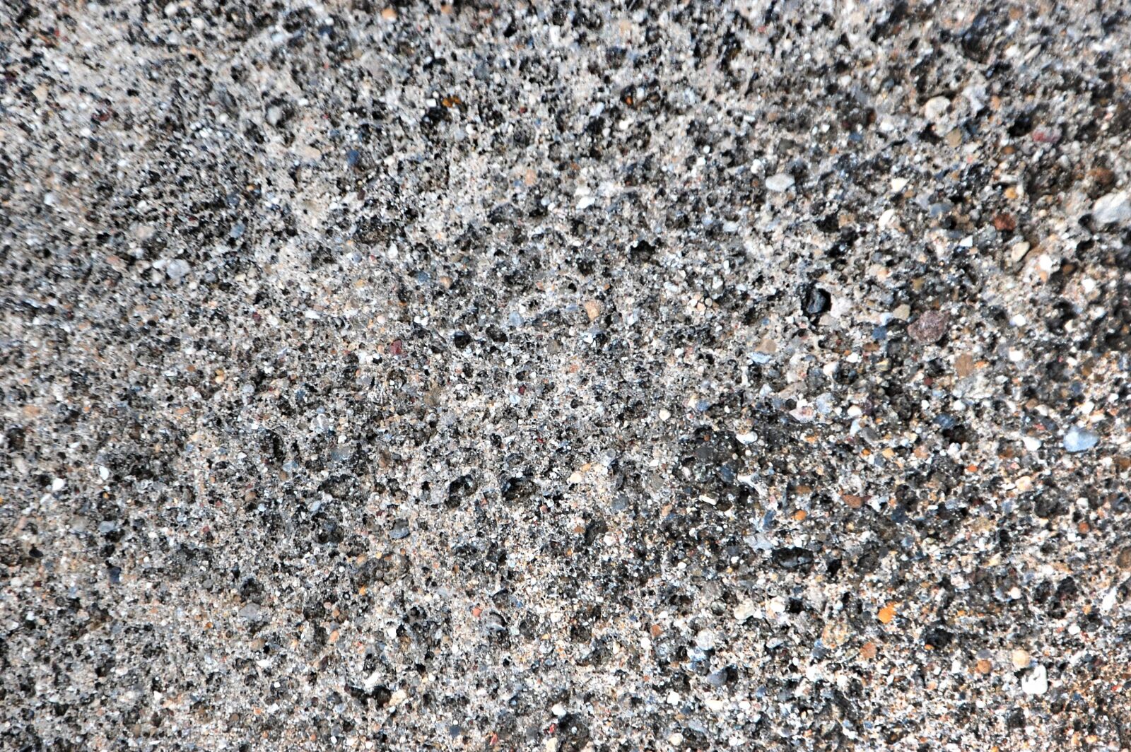 Nikon D40 sample photo. Nature, rough, background photography