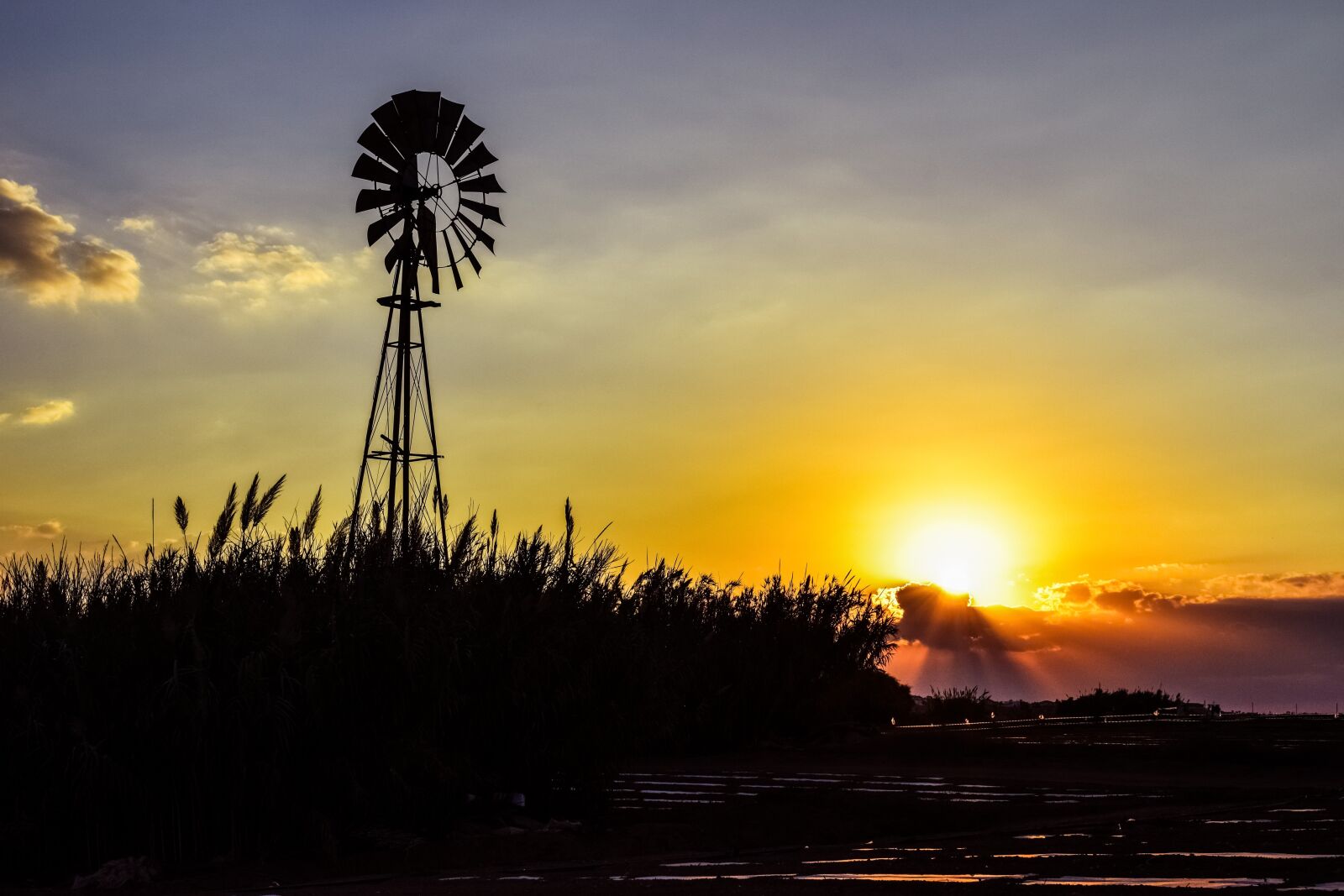 Nikon D3300 sample photo. Windmill, sunset, reeds photography