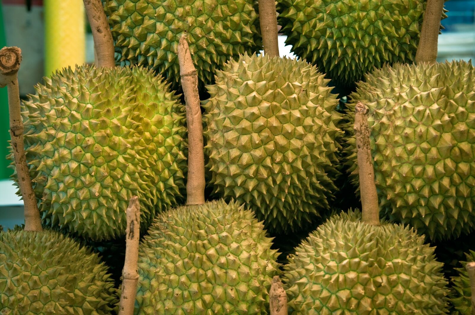 Pentax K-7 sample photo. Jackfruit, thailand, asia photography